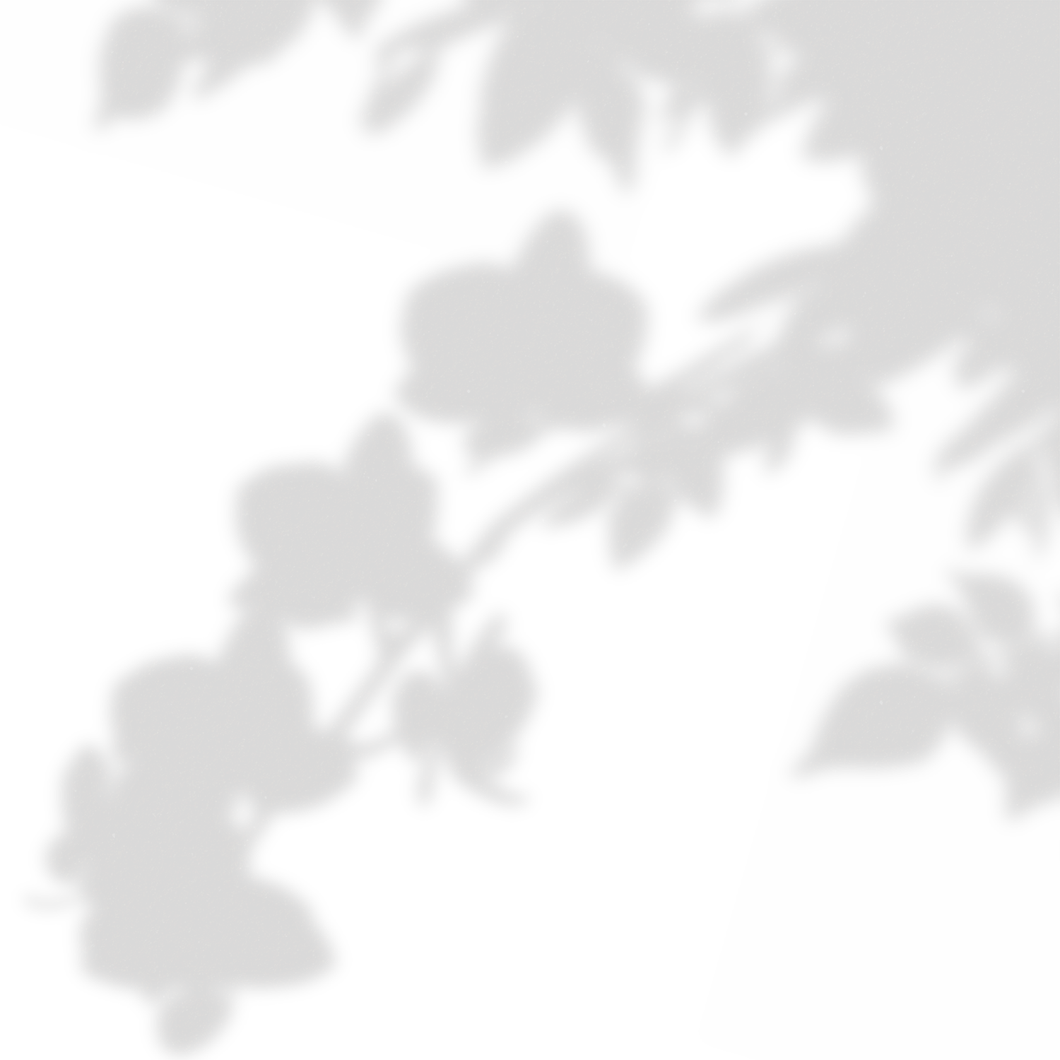 Simple Floral Shadow Orchid